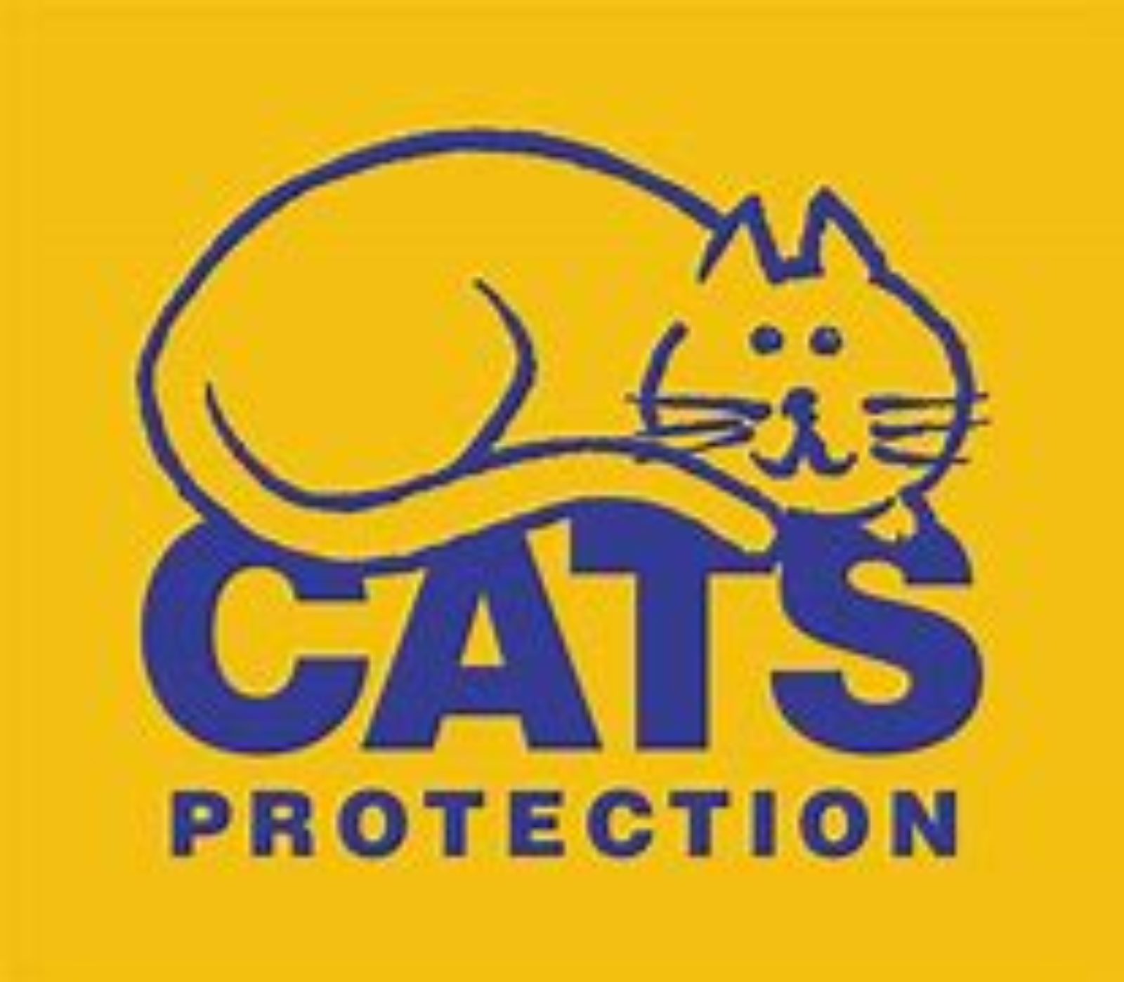 Cats Protection 