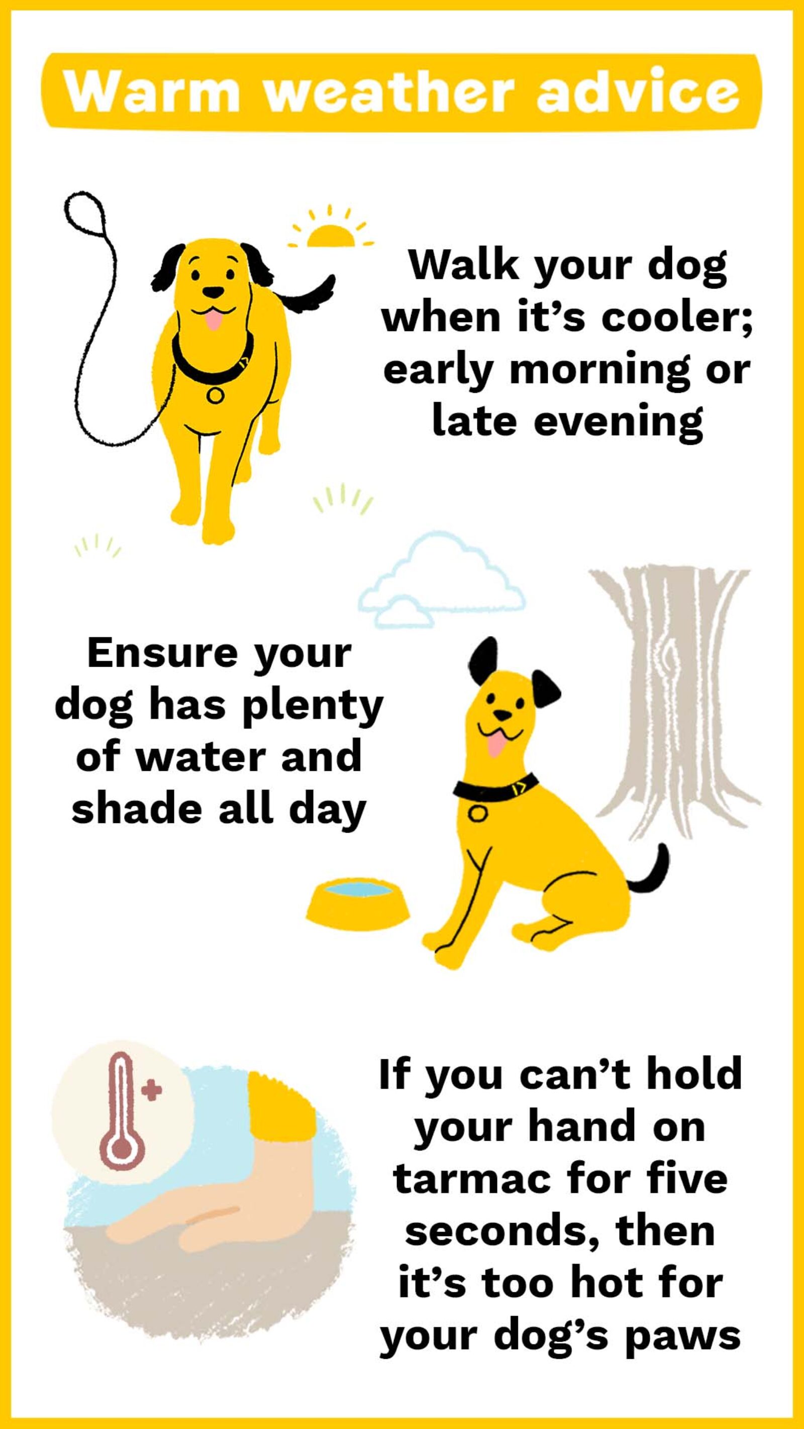 Dogs Trust Weather advice